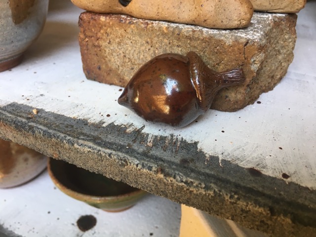 Acorn.jpeg